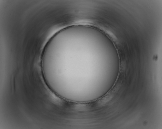 X0000101431470200807141229