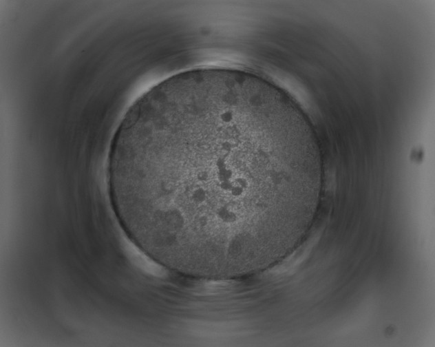 X0000101431471200807141229