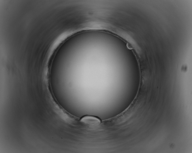 X0000101431472200807141229