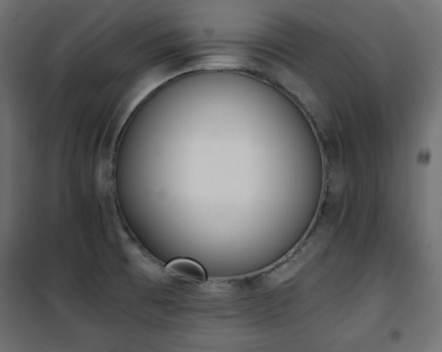 X0000101431473200807141229