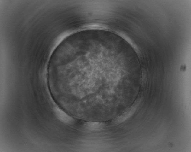 X0000101431474200807141229