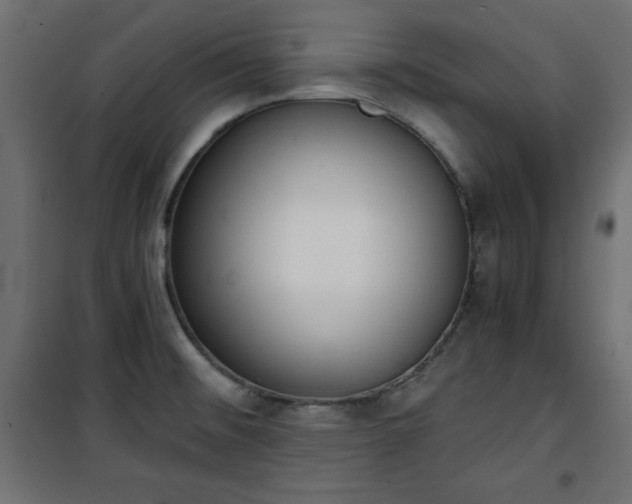 X0000101431476200807141229