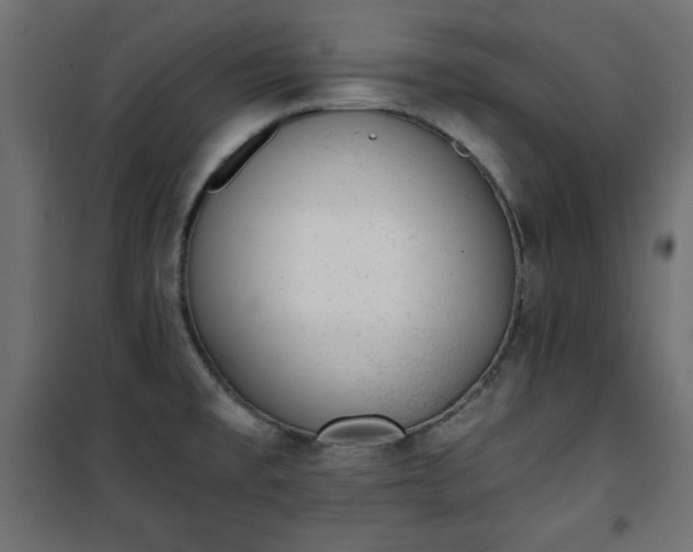 X0000101431477200807141229