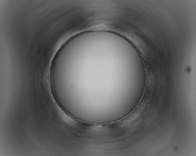 X0000101431478200807141229