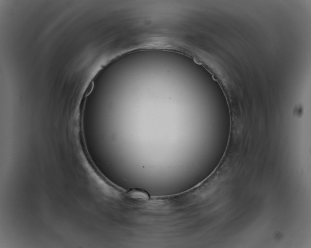 X0000101431479200807141229