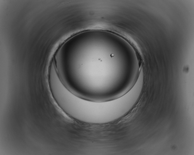 X0000101431480200807141229