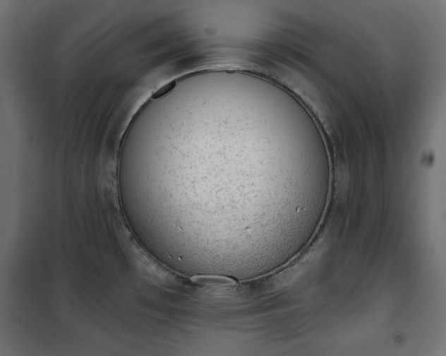 X0000101431481200807141229