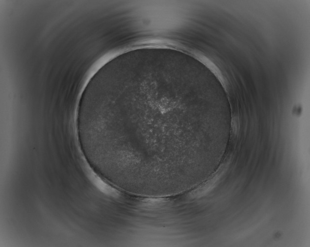 X0000101431482200807141229