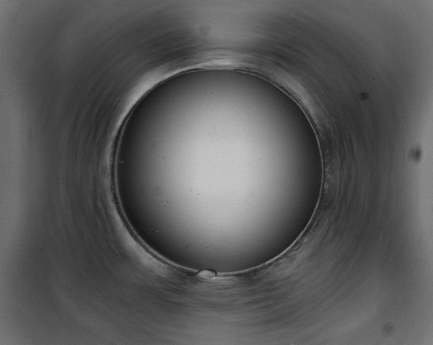 X0000101431483200807141229