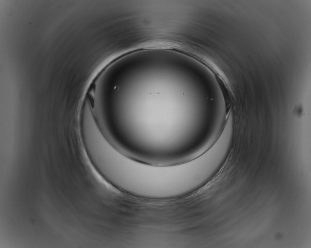 X0000101431484200807141229