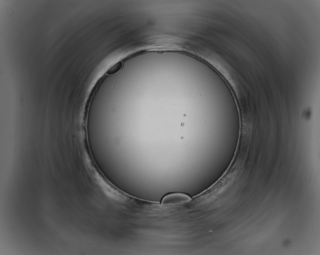 X0000101431485200807141229