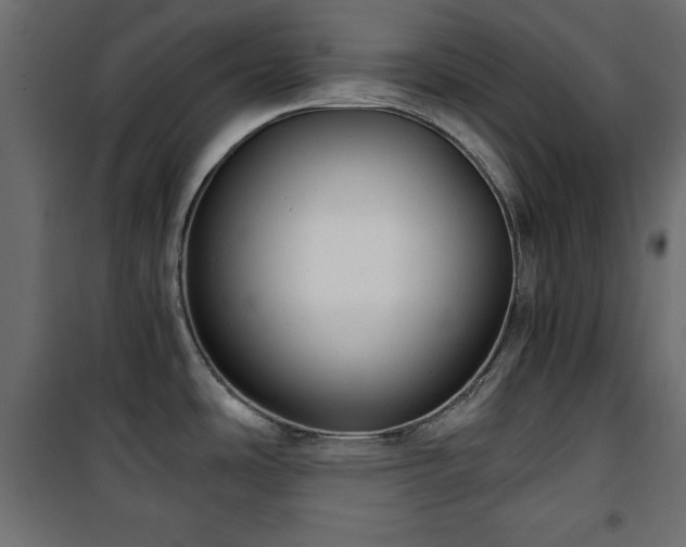 X0000101431486200807141229