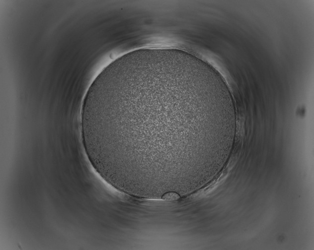 X0000101431487200807141229