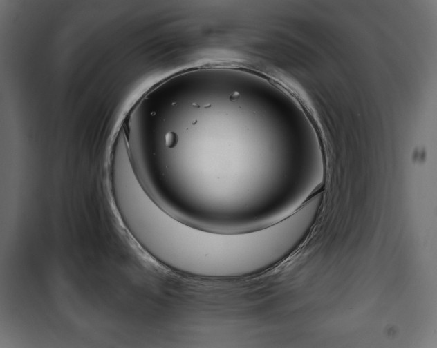 X0000101431488200807141229