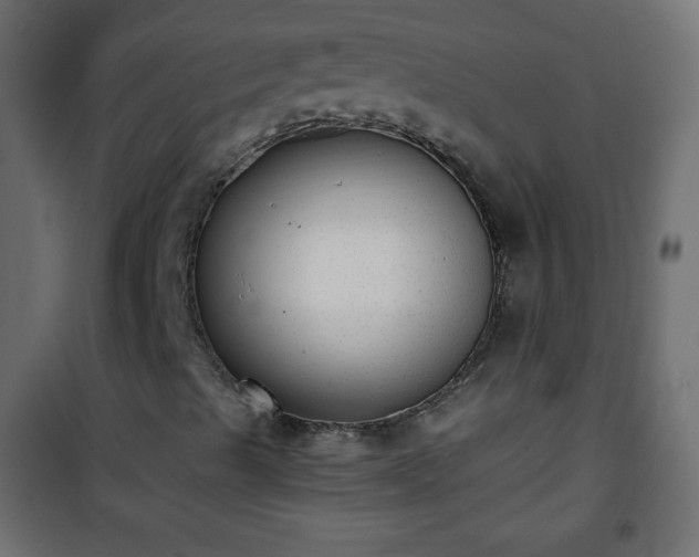 X0000101431489200807141228