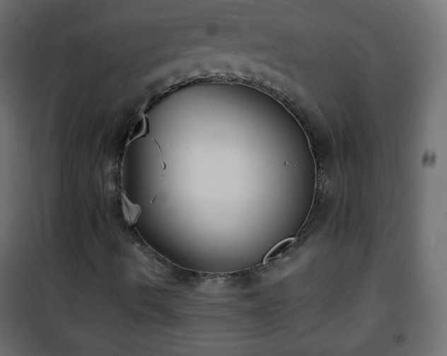 X0000101431490200807141228