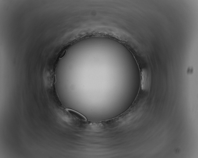 X0000101431491200807141228