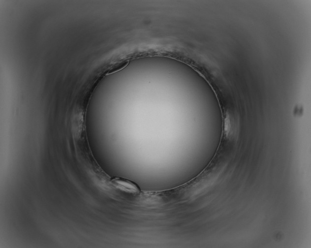 X0000101431492200807141228