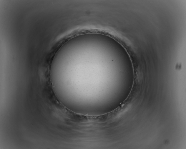 X0000101431494200807141228