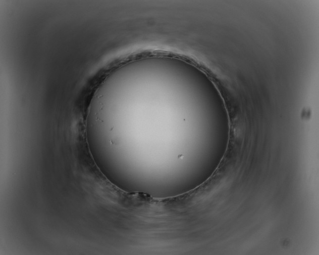 X0000101431495200807141228