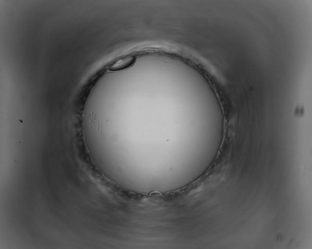 X0000101431496200807141228