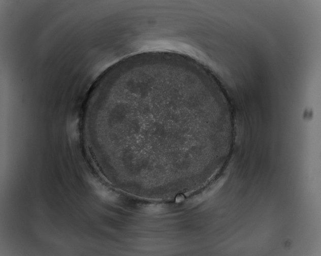 X0000101431497200807141228