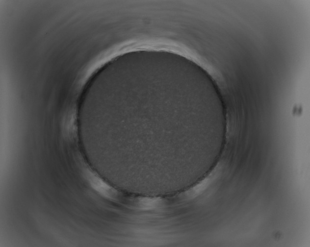 X0000101431498200807141228
