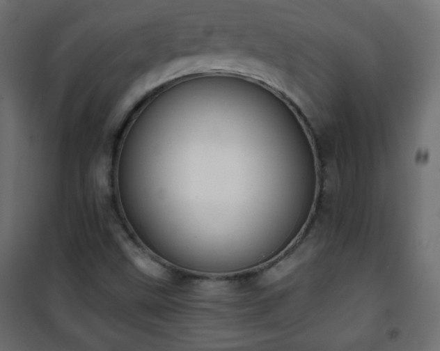 X0000101431499200807141228