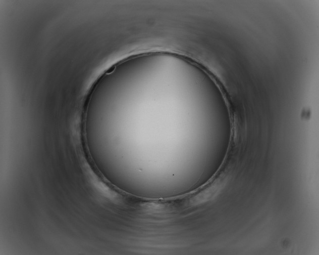 X0000101431500200807141228