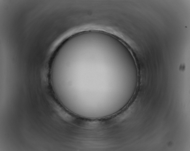 X0000101431502200807141228