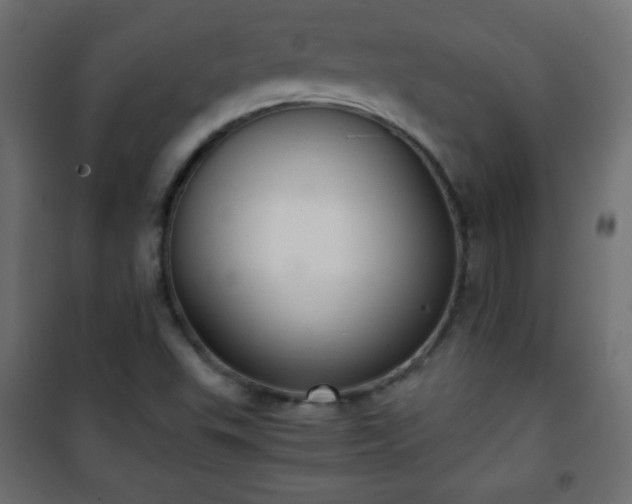 X0000101431503200807141229