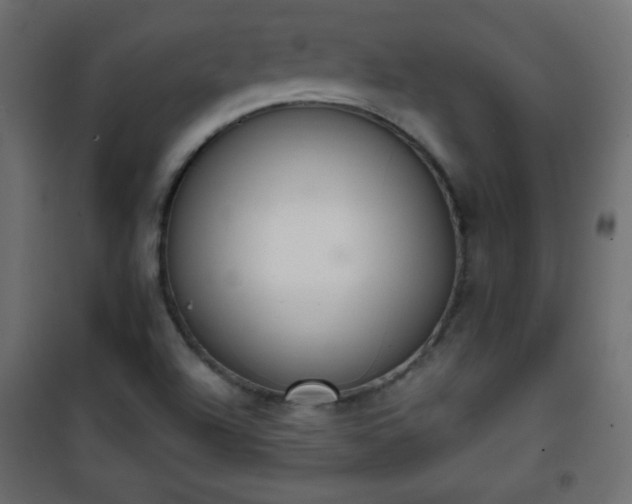 X0000101431504200807141229
