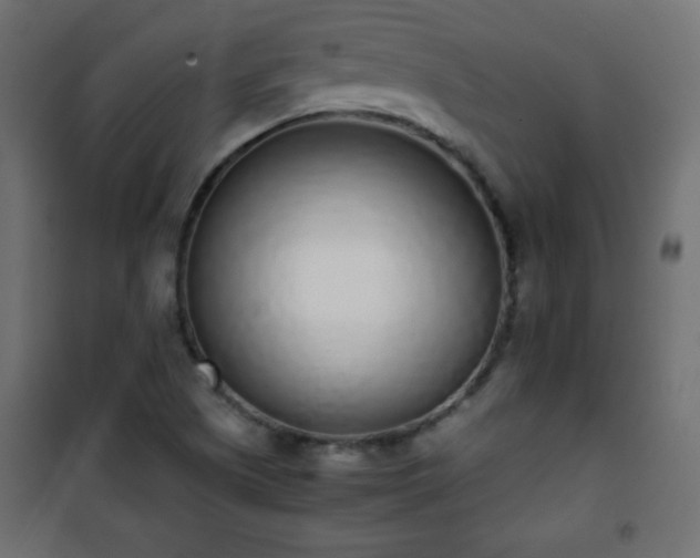 X0000101431505200807141229
