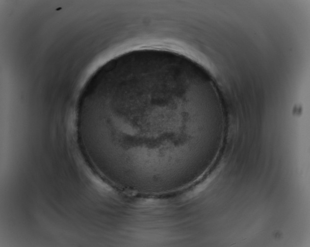 X0000101431506200807141229