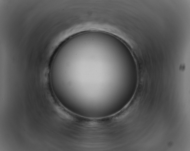X0000101431507200807141229