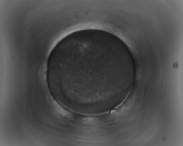 X0000101431508200807141229