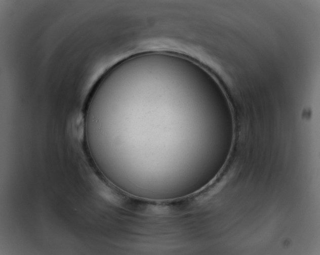 X0000101431509200807141229