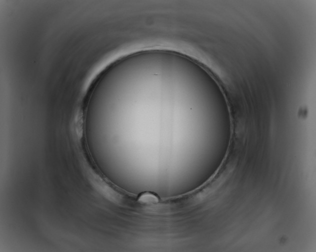 X0000101431510200807141229