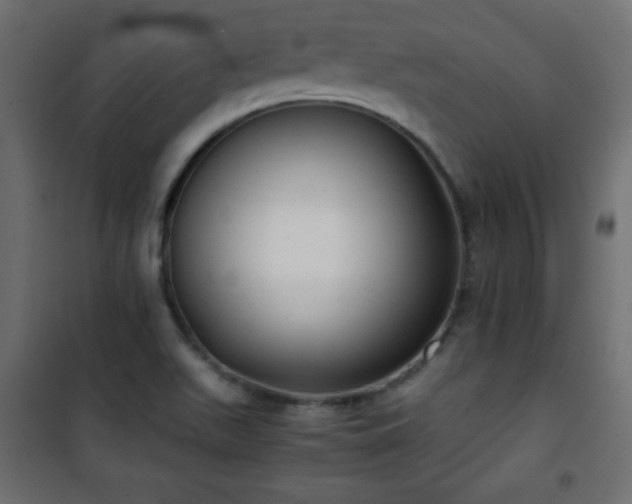 X0000101431511200807141229