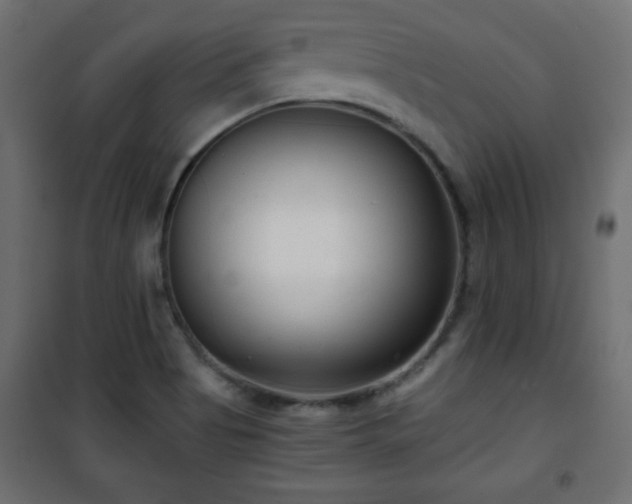X0000101431513200807141229