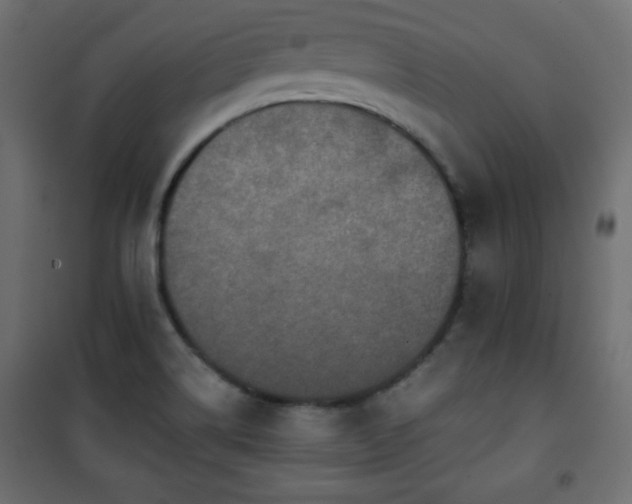 X0000101431514200807141229
