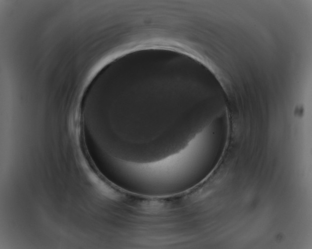 X0000101431515200807141229