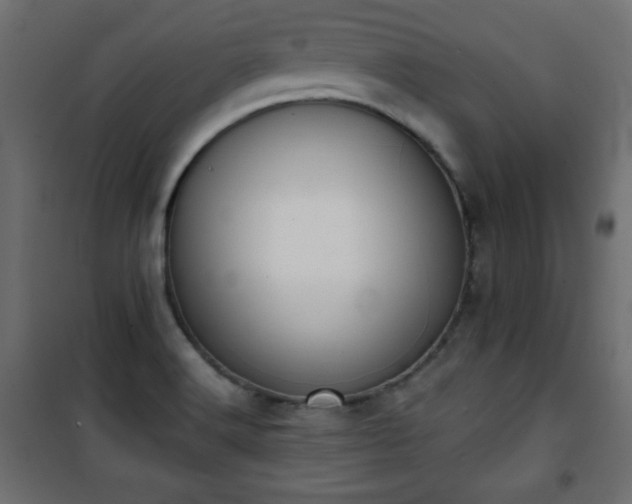 X0000101431516200807141229