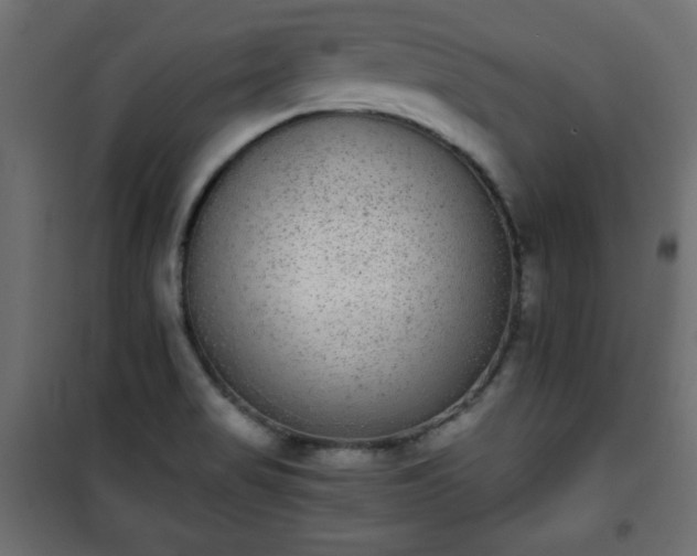 X0000101431517200807141229