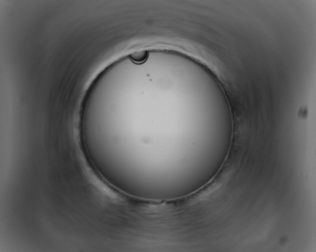 X0000101431518200807141229
