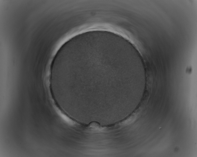X0000101431519200807141229