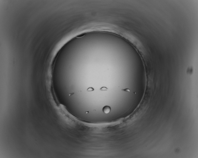 X0000101431520200807141229