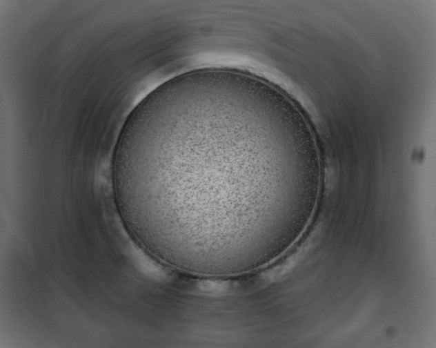 X0000101431521200807141229