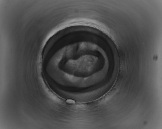 X0000101431522200807141229