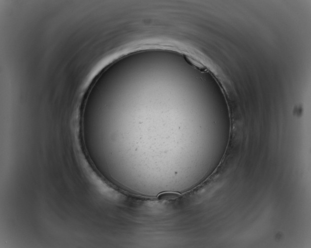 X0000101431523200807141229